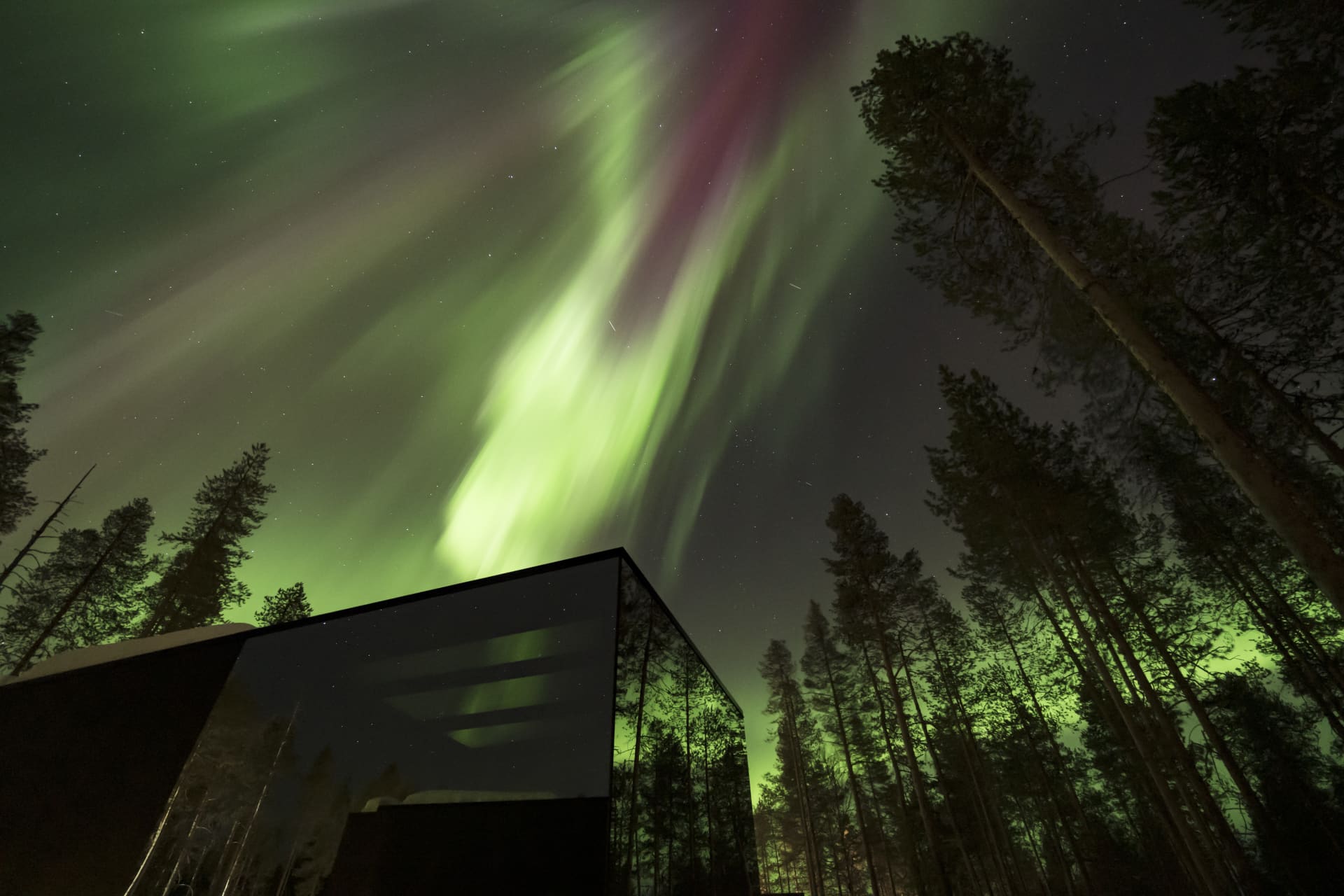 OloResort Glass Igloos in Levi - Northern Lights Village